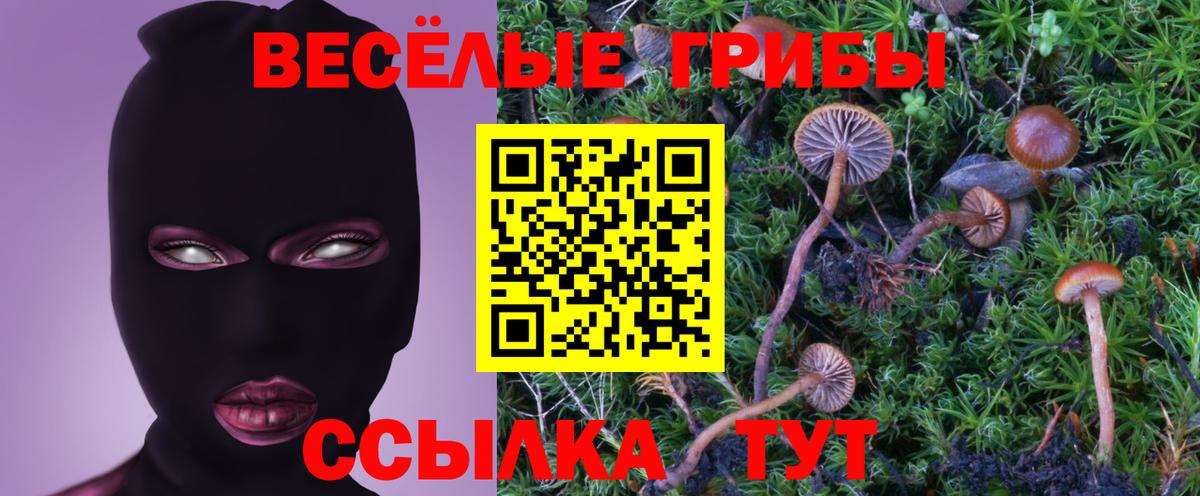 Надым  Галлюциногенные грибы мухоморы  Вход с VPN 