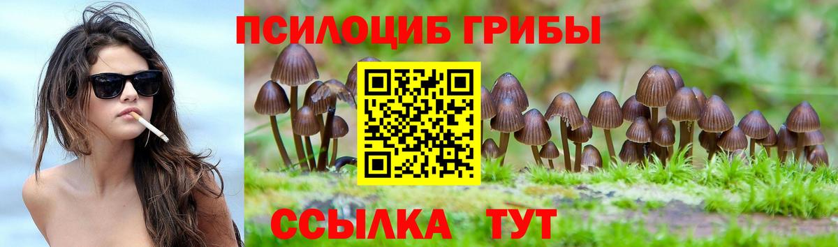 Псилоцибиновые грибы Magic Shrooms Надым